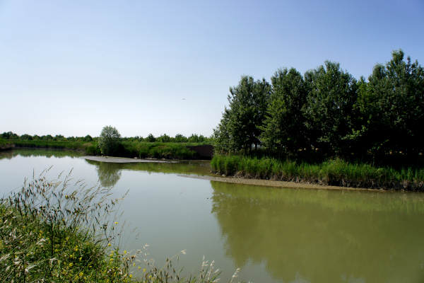 Quarto d'Altino, pista ciclabile fiume Zero, Altino, Trepalade, Sile