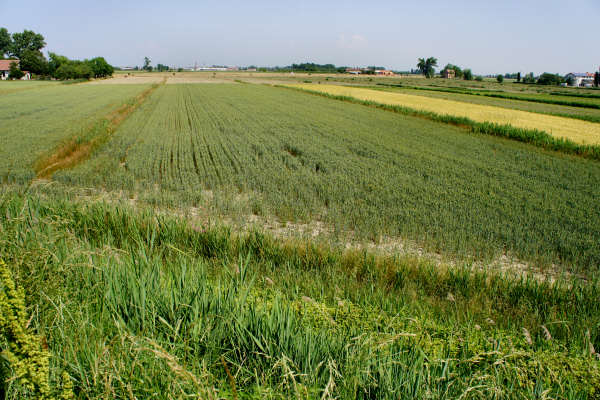 Quarto d'Altino, pista ciclabile fiume Zero, Altino, Trepalade, Sile