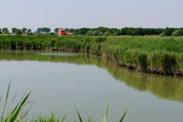 Quarto d'Altino, pista ciclabile fiume Zero, Altino, Trepalade, Sile