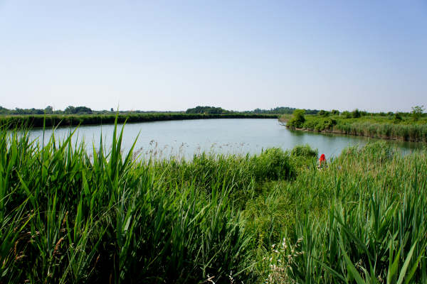 Quarto d'Altino, pista ciclabile fiume Zero, Altino, Trepalade, Sile