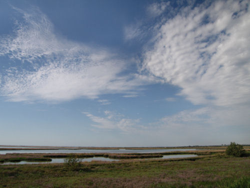 Portegrandi di Quarto d'Altino - taglio del Sile, laguna nord di Venezia