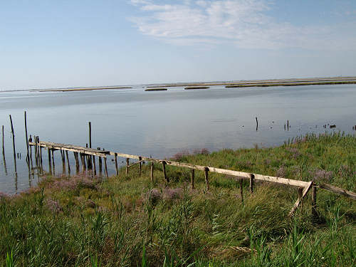 Portegrandi di Quarto d'Altino - taglio del Sile, laguna nord di Venezia