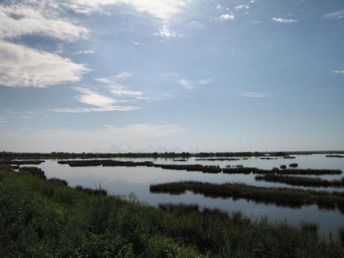 Portegrandi di Quarto d'Altino - taglio del Sile, laguna nord di Venezia
