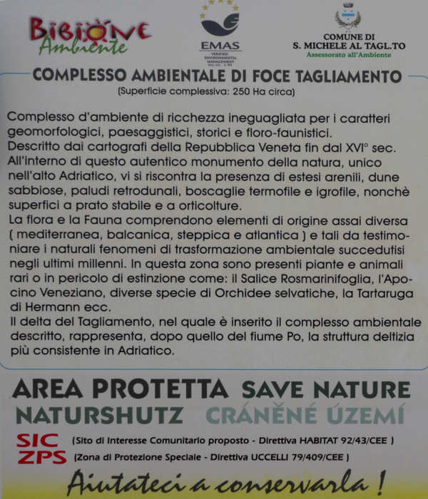 area naturalistica di Bibione, foce del fiume Tagliamento
