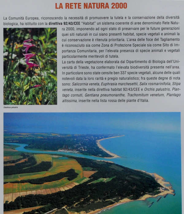 area naturalistica di Bibione, foce del fiume Tagliamento
