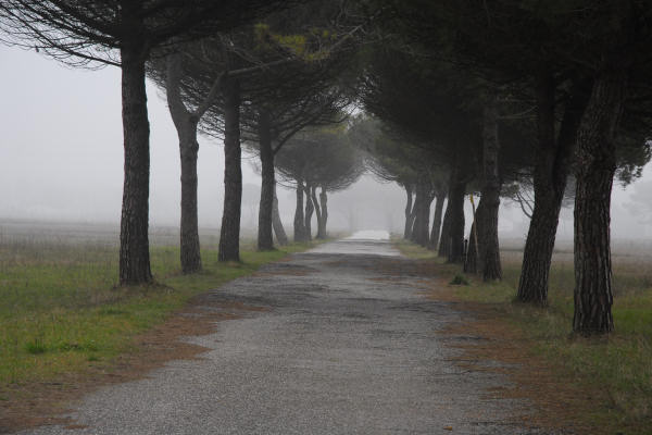 Bibione, area naturalistica foce del fiume Tagliamento