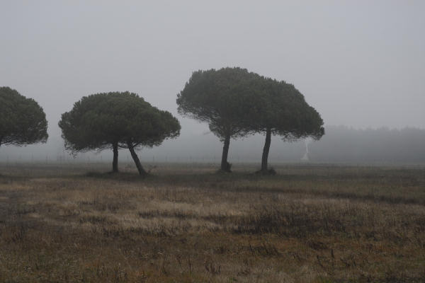 Bibione, area naturalistica foce del fiume Tagliamento