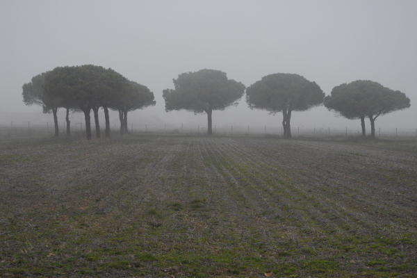Bibione, area naturalistica foce del fiume Tagliamento