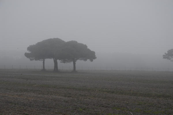 Bibione, area naturalistica foce del fiume Tagliamento