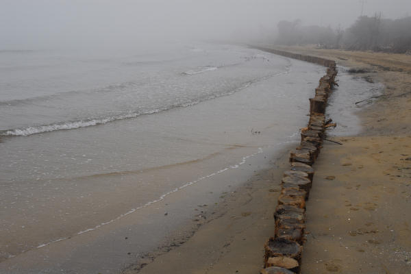 Bibione, area naturalistica foce del fiume Tagliamento