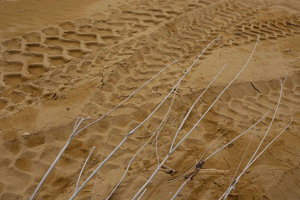 Bibione, area naturalistica foce del fiume Tagliamento