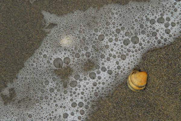 Bibione, area naturalistica foce del fiume Tagliamento