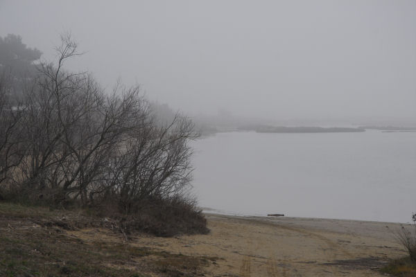 Bibione, area naturalistica foce del fiume Tagliamento