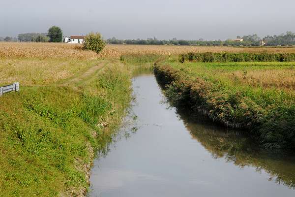 bonifiche del Livenza