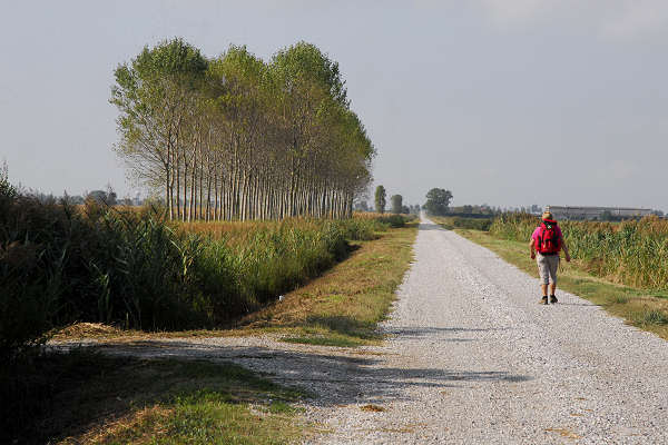 bonifiche del Livenza