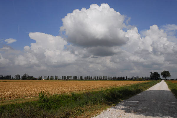 bonifiche del Livenza