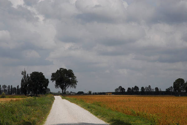 bonifiche del Livenza