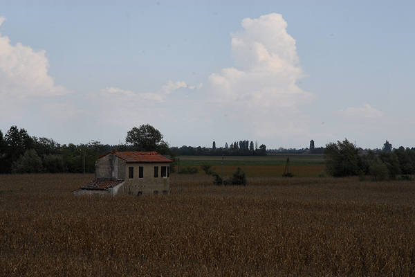 bonifiche del Livenza