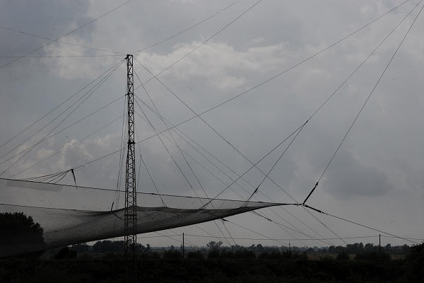 bonifiche del Livenza