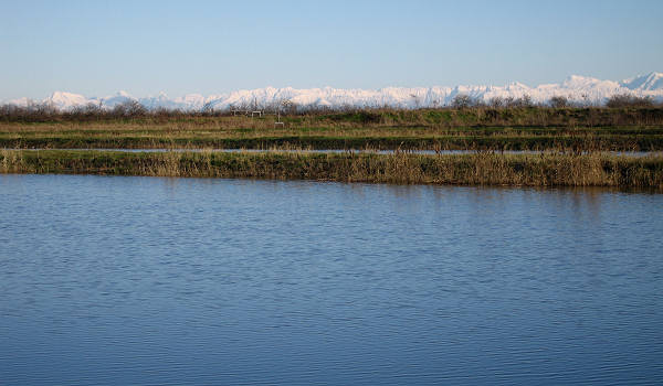 oasi naturalistica Valle Vecchia di VenetoAgricoltura a Caorle