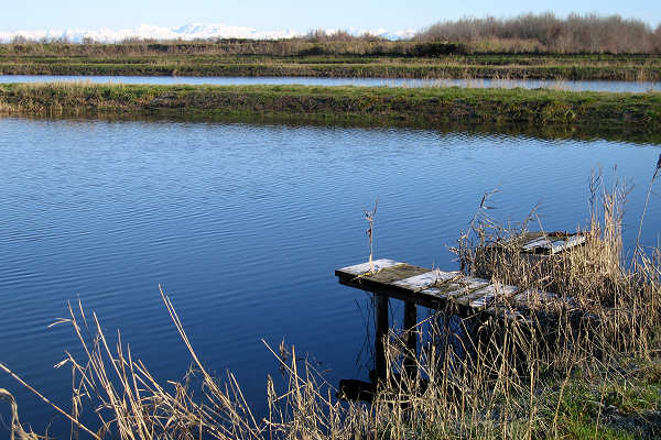 oasi naturalistica Valle Vecchia di VenetoAgricoltura a Caorle