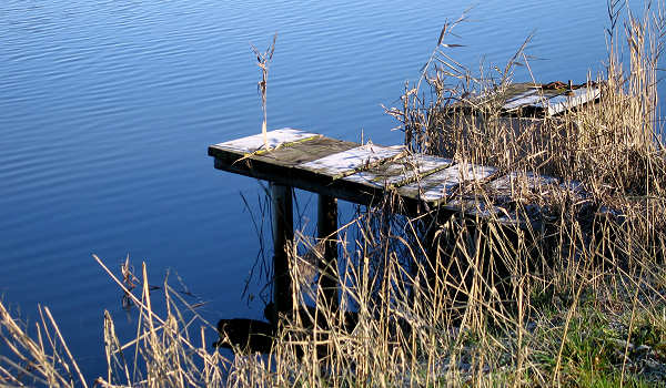 oasi naturalistica Valle Vecchia di VenetoAgricoltura a Caorle