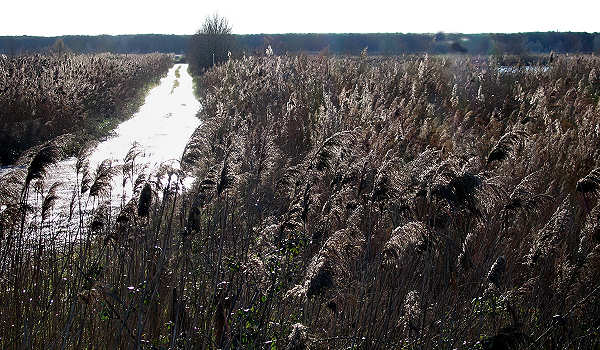 oasi naturalistica Valle Vecchia di VenetoAgricoltura a Caorle