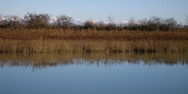 oasi naturalistica Valle Vecchia di VenetoAgricoltura a Caorle