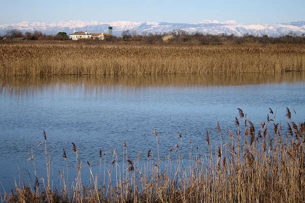 oasi naturalistica Valle Vecchia di VenetoAgricoltura a Caorle
