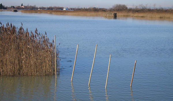 oasi naturalistica Valle Vecchia di VenetoAgricoltura a Caorle