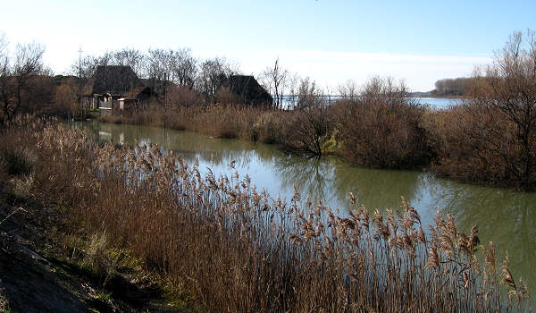 oasi naturalistica Valle Vecchia di VenetoAgricoltura a Caorle