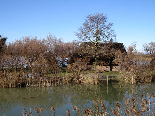 oasi naturalistica Valle Vecchia di VenetoAgricoltura a Caorle