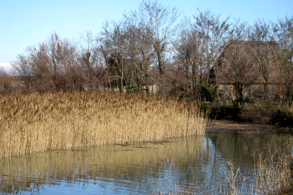 oasi naturalistica Valle Vecchia di VenetoAgricoltura a Caorle