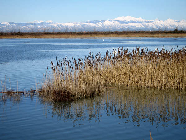 oasi naturalistica Valle Vecchia di VenetoAgricoltura a Caorle