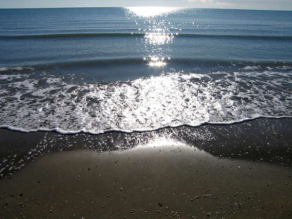 oasi naturalistica Valle Vecchia di VenetoAgricoltura a Caorle