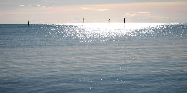 oasi naturalistica Valle Vecchia di VenetoAgricoltura a Caorle