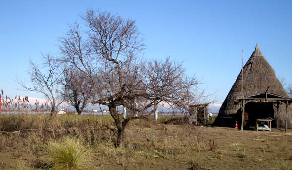 oasi naturalistica Valle Vecchia di VenetoAgricoltura a Caorle