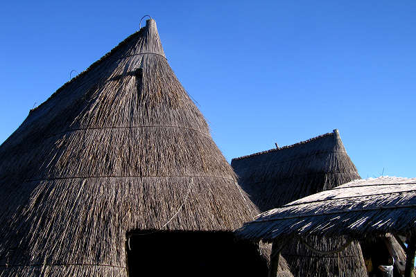 oasi naturalistica Valle Vecchia di VenetoAgricoltura a Caorle