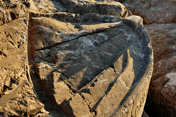 Scogliera Viva, sculture nella massicciata lungomare di Caorle