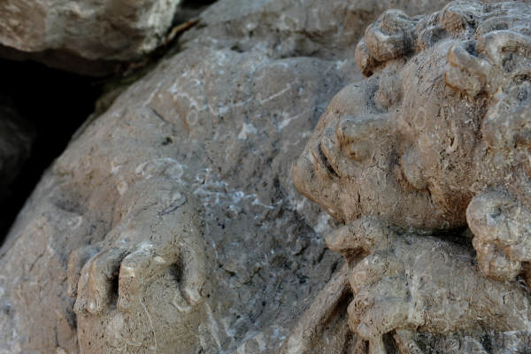 Scogliera Viva, sculture nella massicciata lungomare di Caorle