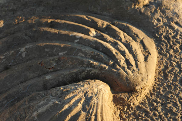 Scogliera Viva, sculture nella massicciata lungomare di Caorle