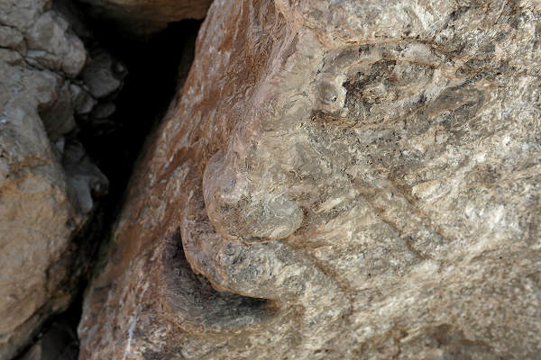 Scogliera Viva, sculture nella massicciata lungomare di Caorle