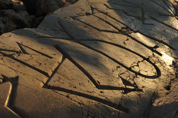 Scogliera Viva, sculture nella massicciata lungomare di Caorle