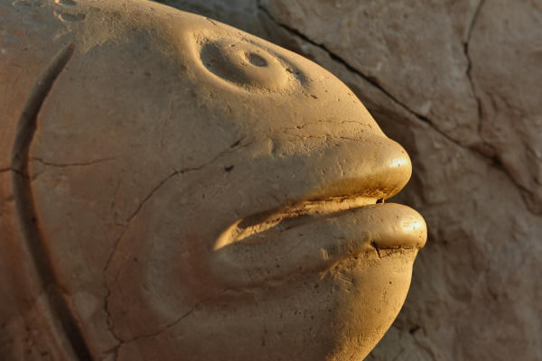 Scogliera Viva, sculture nella massicciata lungomare di Caorle
