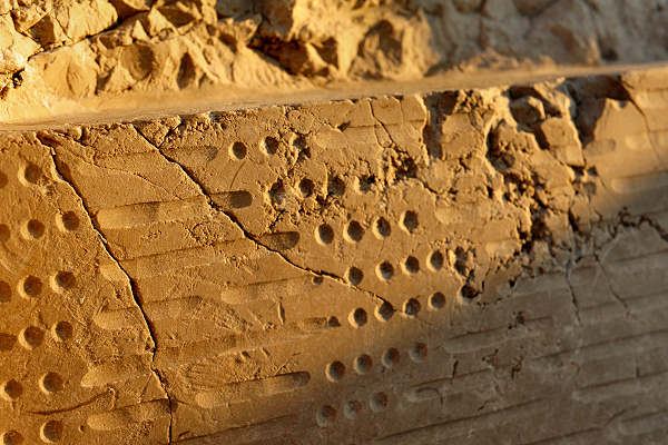 Scogliera Viva, sculture nella massicciata lungomare di Caorle