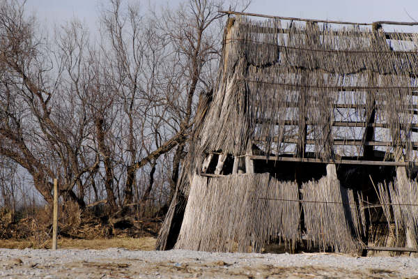 oasi naturalistica Valle Vecchia di VenetoAgricoltura a Caorle