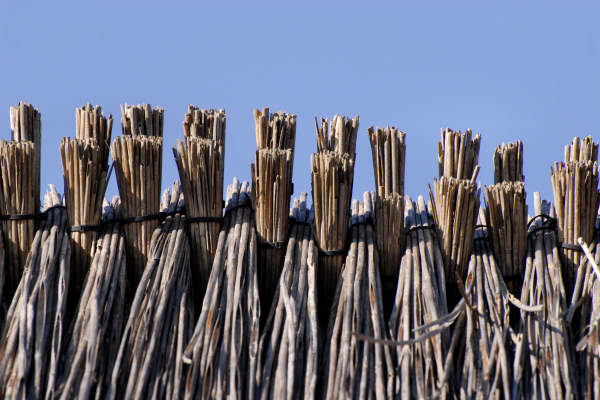 oasi naturalistica Valle Vecchia di VenetoAgricoltura a Caorle