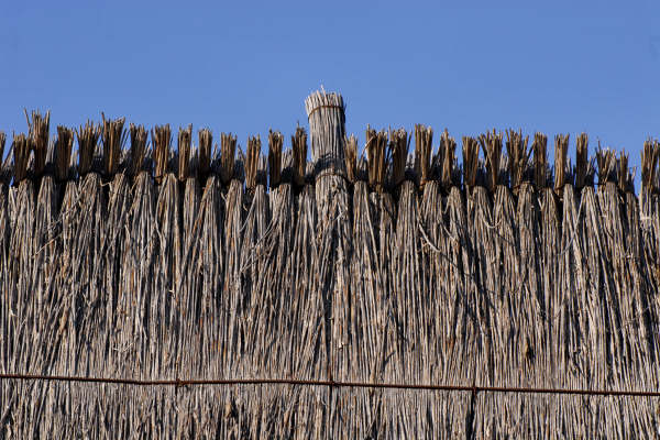 oasi naturalistica Valle Vecchia di VenetoAgricoltura a Caorle