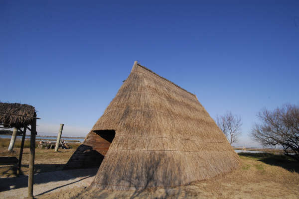 oasi naturalistica Valle Vecchia di VenetoAgricoltura a Caorle