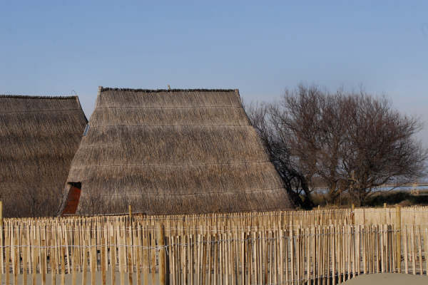 oasi naturalistica Valle Vecchia di VenetoAgricoltura a Caorle
